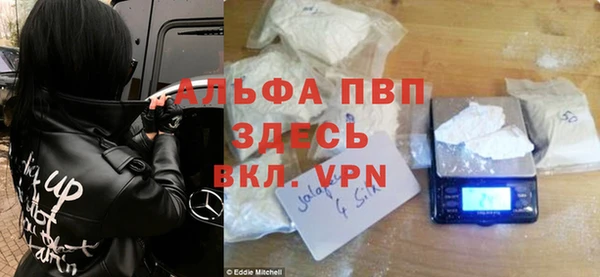 твердый Медногорск