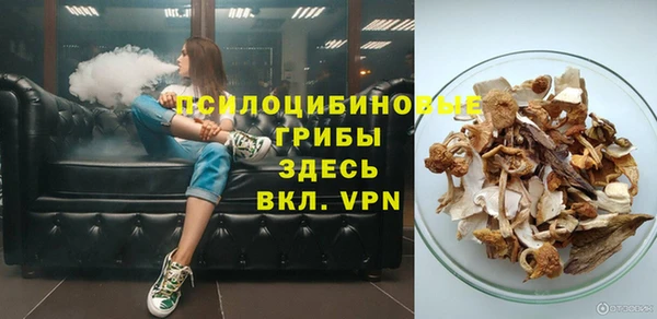 твердый Медногорск